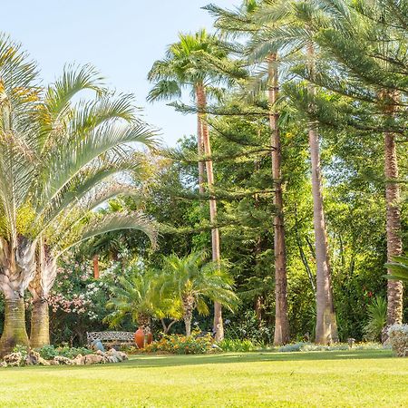 The Grand Oasis Estepona Marbella Exteriör bild